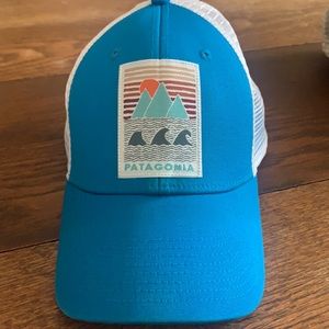 Patagonia trucker hat